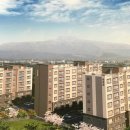 대정읍-7 이미지