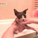 김진우 농장 이미지