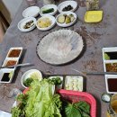 딱좋아막썰어회