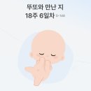 성분도치과병원 | 양치덧 때문에 바꿔본 투투스맘 임산부 입덧치약 후기