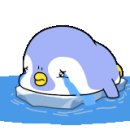 도도앤잭 네이버블로그
