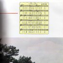 서귀고등학교 이미지