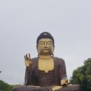 소인국테마파크전시관 이미지