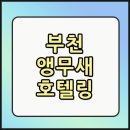 앵무새 | 부천 앵무새 호텔링, 후기 좋은 &#34;이곳&#34;에서!(feat. 비용, 가격, 스트레스)