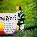 2027년에 다 죽는다 이미지