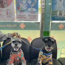 주남목장 이미지