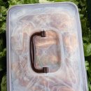 ♧김장김치 ♧ 이미지