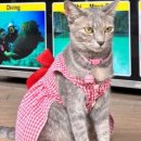 에덴팜스 이미지