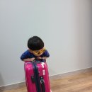 거제 풀빌라 카나리아 이미지