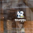 펫츠아일랜드