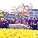 전라남도장애인복지관장흥분관 이미지