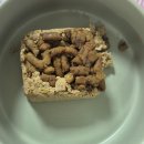 큐브 세탁 | 라떼 화식 소분 꿀템, 실리콘 이유식 큐브 4구 12구 냉장 사용후기