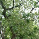 (유)성미 이미지