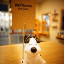 부일미용실 이미지