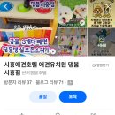 일보시개 24시 애견호텔&애견유치원 | 시흥애견호텔 능곡동 24시강아지호텔링 산책프로그램 댕봄 만족스러웠던 이용후기