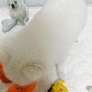 신강세탁 이미지