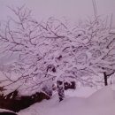 시골풍경 이미지