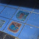 장수서창동-40 이미지