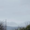 대천체육관 이미지