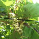 만선농장 이미지