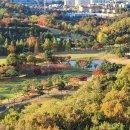 수원-0594 이미지