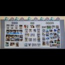 세빛태권도장 이미지