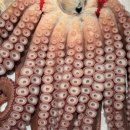 산문어세상 이미지