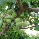 희망찬농장 이미지