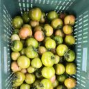 빈이네농장 이미지