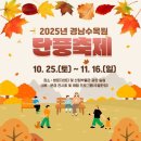 제11회김해가야금페스티벌 | 경남에서 만나는 11월 축제 총정리!