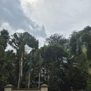 샹그릴라 | 6살 아이랑 싱가포르 - 샹그릴라 라사 센토사 후기