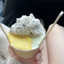 도도운수 이미지