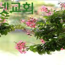 예수님의 친척 관계 / 호쉬아 이미지