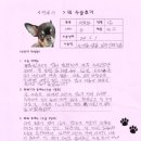 김일남 | [#1190] 땅콩(양측 슬개골탈구 G4 / 좌측 전방 십자인대)의 수술후기