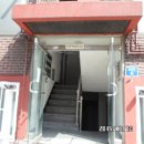 식물원로 이미지