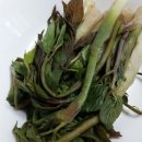 정든식당