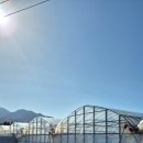 아소농장 이미지