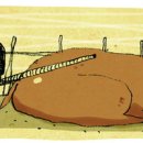 소판돈 경향신문