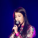 하이미스터 이미지