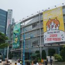 2025 서울 궁팡 at센터 다녀온 후기(궁디팡팡 캣페스타 서울)