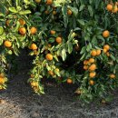 경미농장 이미지