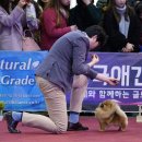 쇼독 네이버블로그
