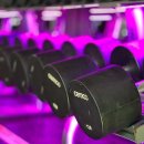 슈퍼스타 휘트니스 이미지