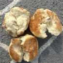 블루축산동물병원 이미지