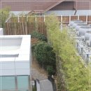 롯데백화점광복점 이미지