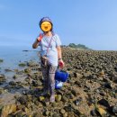 명가 사계절휴양지 이미지