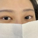 에이오비 | [순천/석현동] 순천 순천대학교 근처 속눈썹 파마 잘 하는 집 AOB 솔직후기