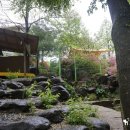 들꽃여울캠핑장 이미지