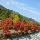 닛시펜션