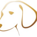 관양동-1 이미지